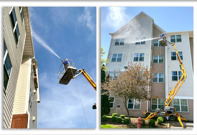 66316a0b7e32e2840c38bcdd (1)